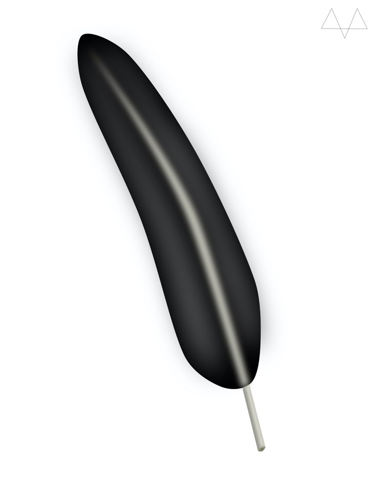 Black Feather product image